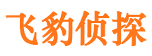 渭源私家调查公司